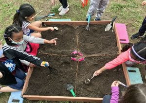 First-graders engaged in archeology dig