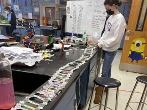 Students create DNA structure chain