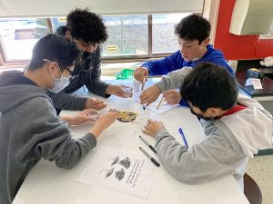 SOMS science students participate in lab activity